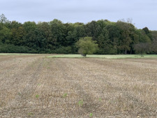 Obj 33_Feld 2